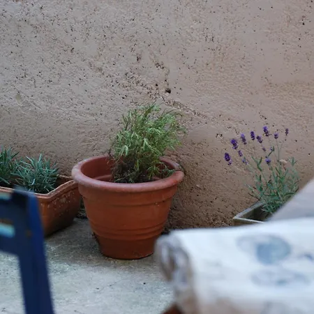 Apartment Mediteranean